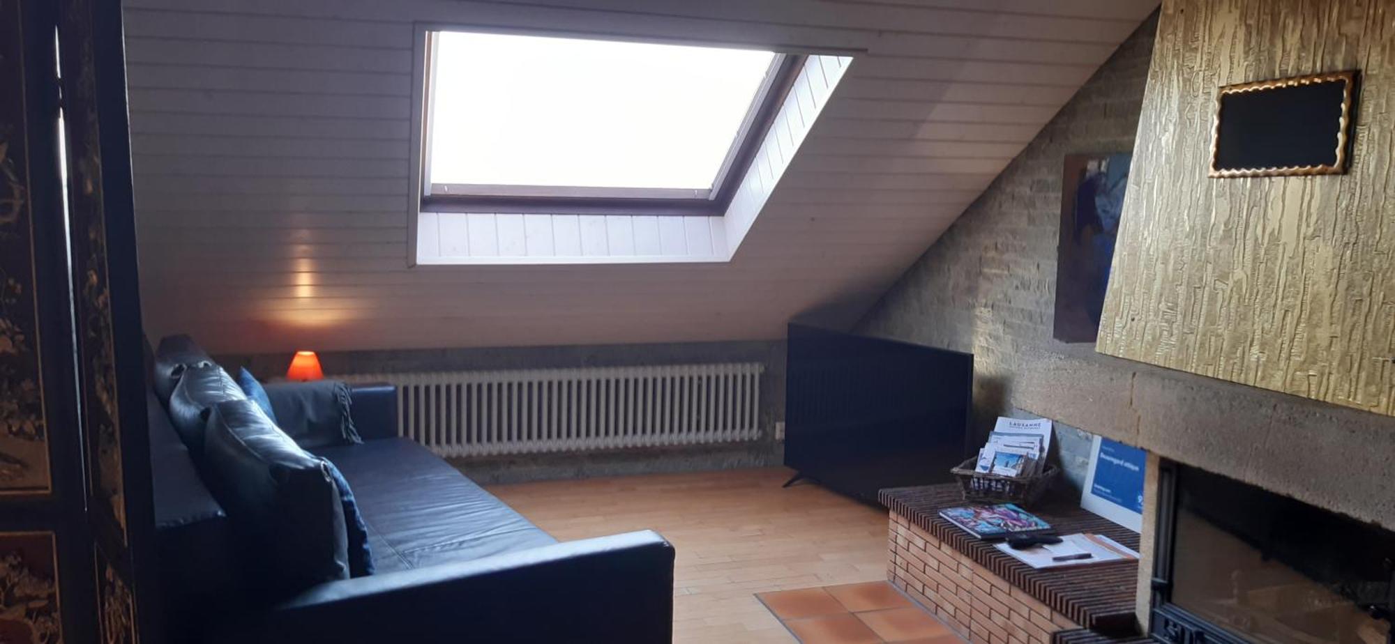 Beauregard Attique Apartment Lausanne Bagian luar foto